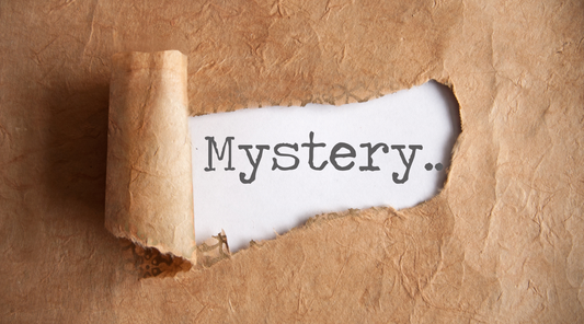 From Mystery Lover to Independent Publisher: The Story of KeiterBennett Publishers